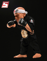 GSP_Round_5_UFC_129_exclusive_1.jpg