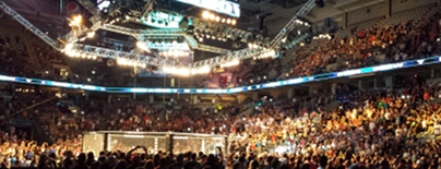 Octagon_photo_wide_251.jpg